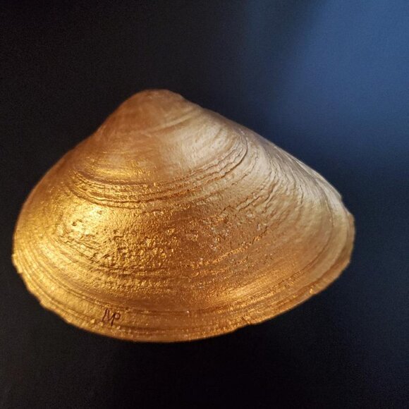 Decoupage Floral Shell - Picture 2 of 2